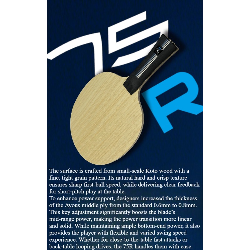 SANWEI 75R 5+2 Buitenste H-GLC - Table Tennis Blades recensie en prijs