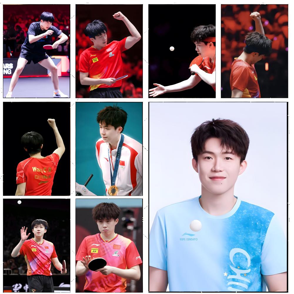 Tafeltenniskampioen Wang Chuqi - Table Tennis Champion recensie en prijs